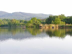 Bažantnice