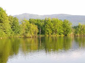 Bažantnice
