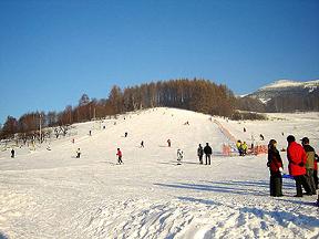 Lyask arel Kocin - Loun nad Desnou