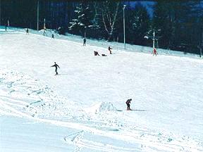 Lyask arel Kocin - Loun nad Desnou