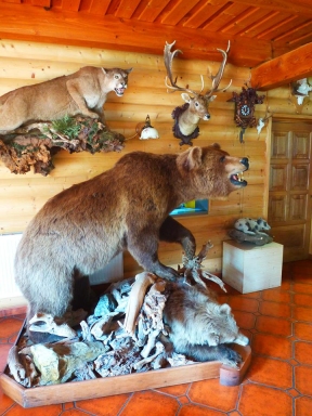 Guest house Grizzly - Vrbno pod Pradědem, Ludvíkov