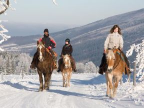 Apartmny Farma Bovine - Hemanovice