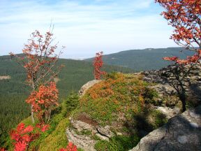 Zcenina hradu Kobertejn (Kobrtejn)