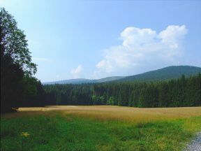 Zcenina hradu Kobertejn (Kobrtejn)