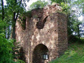 Zřícenina hradu Fulštejn