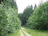 Lázeňské okruhy - U Arnoštova krmelce