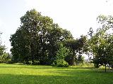 Zámek Bludov - zámecký park