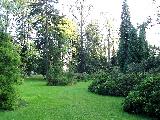 Lázně Velké Losiny - lázeňský park