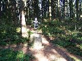 Stezka V. Priessnitze - Nadlerův náhrobek - Jeseník, lázně