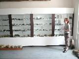 Městské muzeum ve Zlatých Horách - expozice minerálů