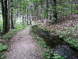 Údolí ztracených štol - vodní náhon u Zlatorudných mlýnů