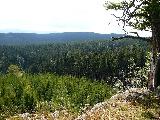 Vysok kmen - vhled na Rychlebsk hory
