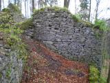 Zřícenina Nový hrad