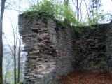 Zřícenina Nový hrad