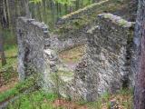 Zřícenina Nový hrad