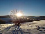 Zimní odpoledne v Rychlebských horách