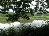 Třemešské rybníky u Šumperka