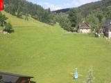 Ostru�n�