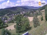 Karlovice