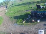 Slezsk Harta - Roudno