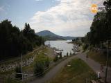 Slezsk Harta - Leskovec 1
